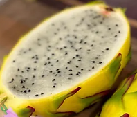 アリシアスタン 2024 Madeline Pitaya Asunta 5 Patricia Dragon Fruit | Tasty Dragons